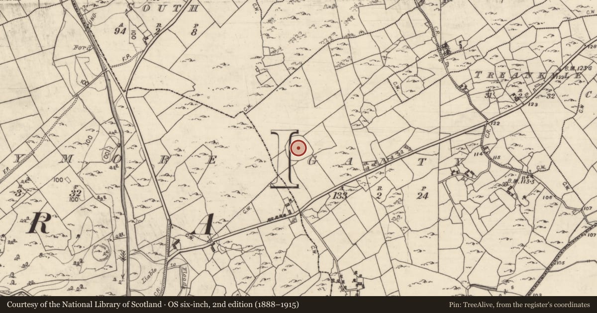 Ordnance Survey six-inch map, 2nd edition (1888–1915) covering the location of Burial, Ganty, County Galway, with a pin at the register's coordinates