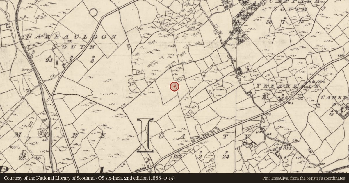 Ordnance Survey six-inch map, 2nd edition (1888–1915) covering the location of House - indeterminate date, Ganty, County Galway, with a pin at the register's coordinates
