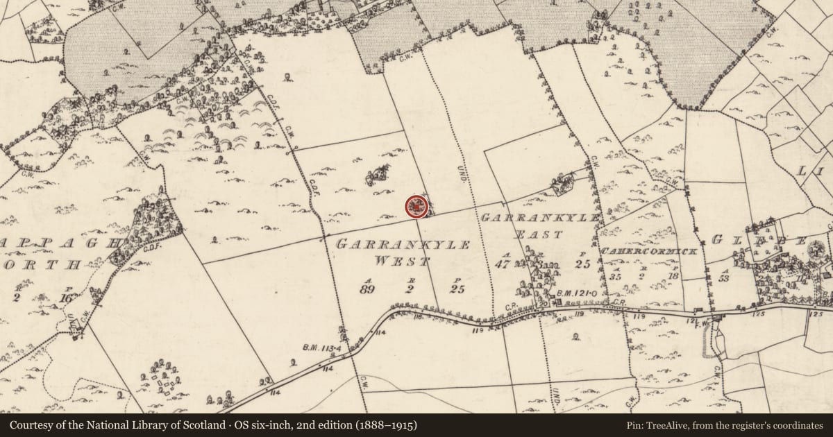 Ordnance Survey six-inch map, 2nd edition (1888–1915) covering the location of Ringfort - rath, Garrankyle West, County Galway, with a pin at the register's coordinates