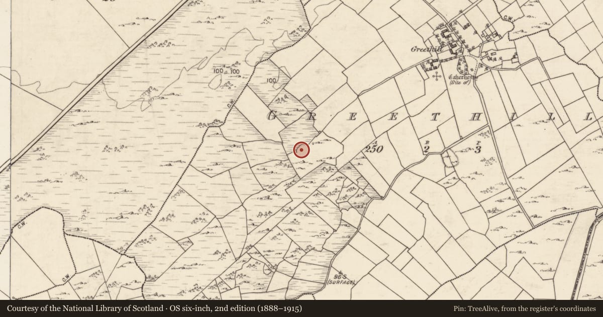 Ordnance Survey six-inch map, 2nd edition (1888–1915) covering the location of Ringfort - cashel, Greethill, County Galway, with a pin at the register's coordinates