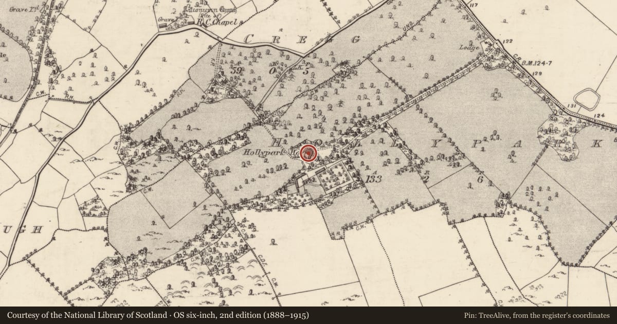 Ordnance Survey six-inch map, 2nd edition (1888–1915) covering the location of House - 18th/19th century, Hollypark, County Galway, with a pin at the register's coordinates