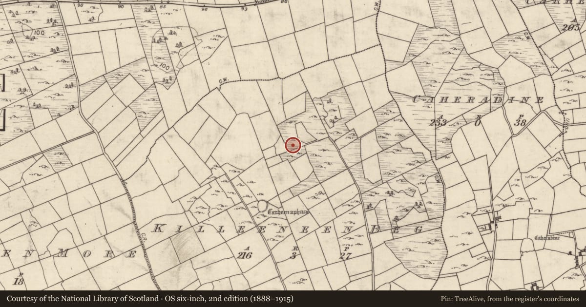 Ordnance Survey six-inch map, 2nd edition (1888–1915) covering the location of Ringfort - cashel, Killeeneen Beg, County Galway, with a pin at the register's coordinates