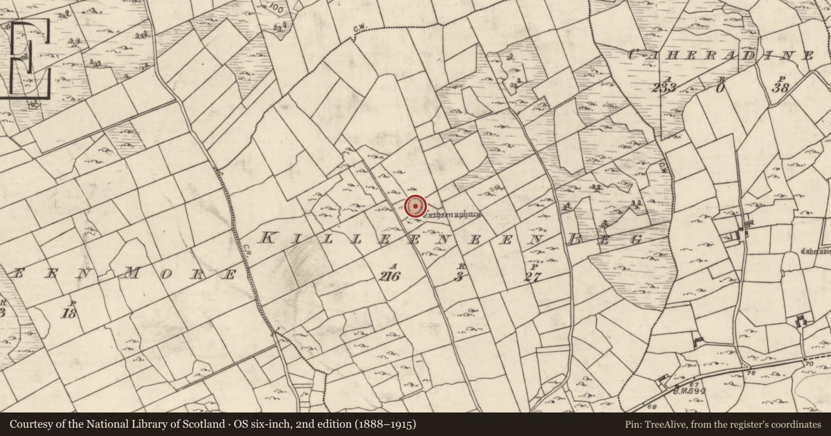 Ordnance Survey six-inch map, 2nd edition (1888–1915) covering the location of Ringfort - cashel, Killeeneen Beg, County Galway, with a pin at the register's coordinates