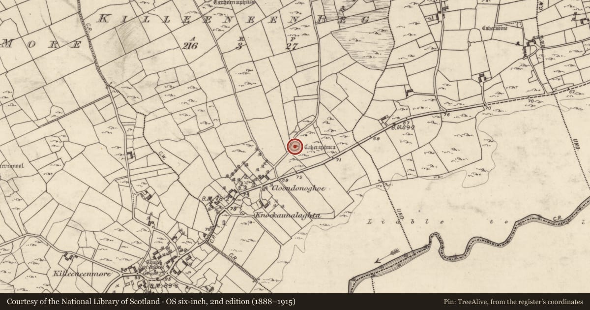 Ordnance Survey six-inch map, 2nd edition (1888–1915) covering the location of Ringfort - cashel, Killeeneen Beg, County Galway, with a pin at the register's coordinates