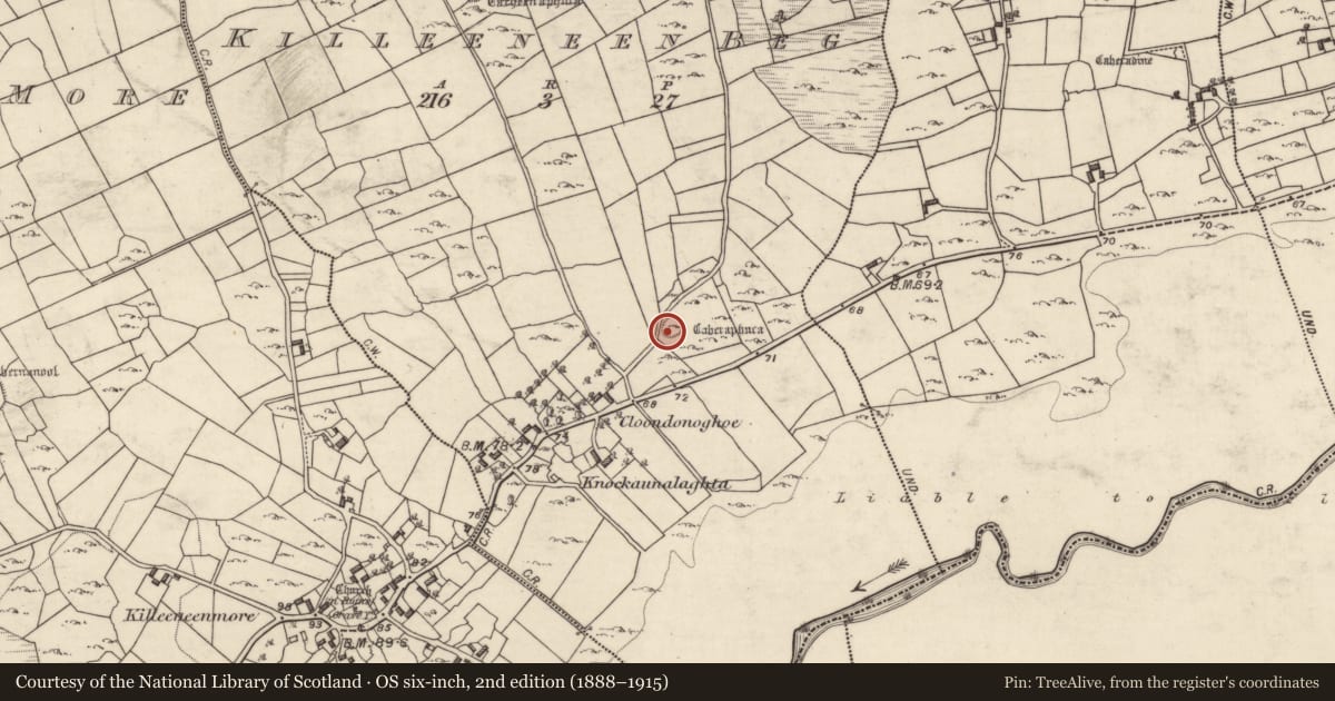 Ordnance Survey six-inch map, 2nd edition (1888–1915) covering the location of Souterrain, Killeeneen Beg, County Galway, with a pin at the register's coordinates