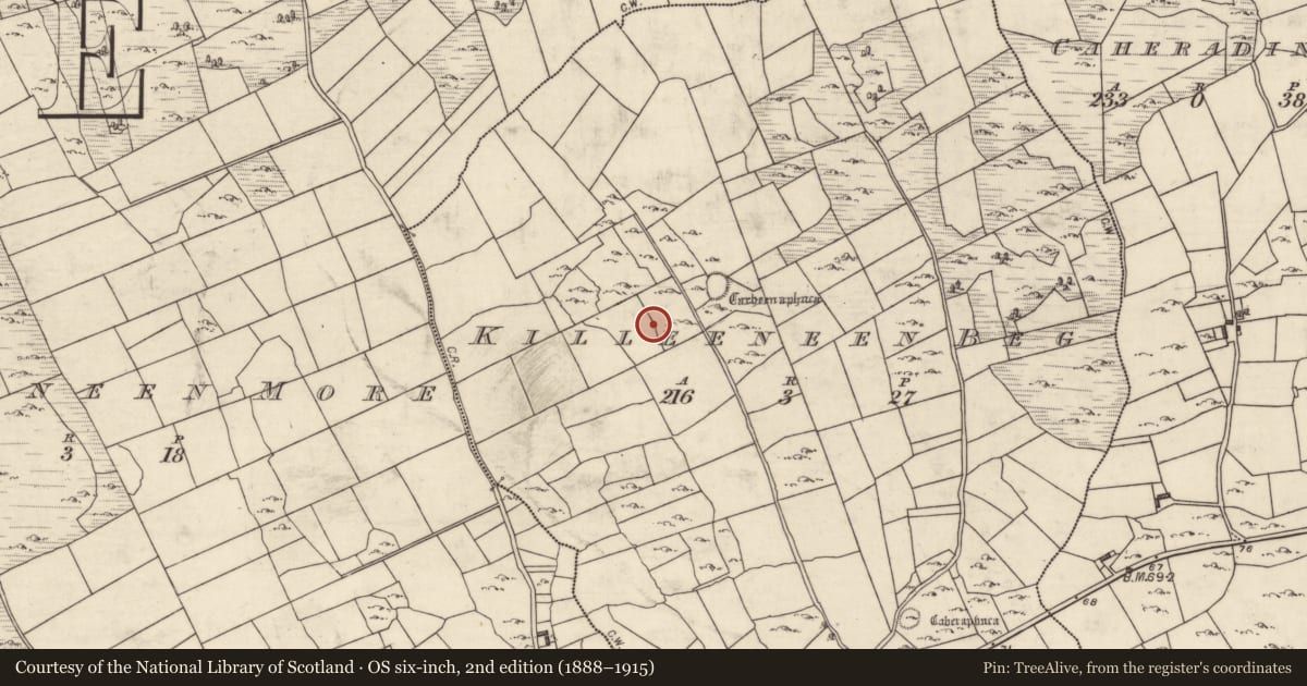 Ordnance Survey six-inch map, 2nd edition (1888–1915) covering the location of Ringfort - cashel, Killeeneen Beg, County Galway, with a pin at the register's coordinates