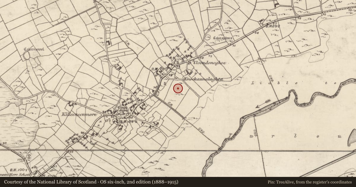 Ordnance Survey six-inch map, 2nd edition (1888–1915) covering the location of Ringfort - cashel, Killeeneen Beg, Killeeneen More, County Galway, with a pin at the register's coordinates