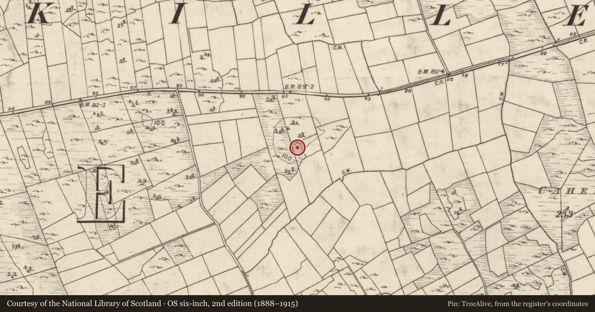 Ordnance Survey six-inch map, 2nd edition (1888–1915) covering the location of Ringfort - cashel, Killeeneen More, County Galway, with a pin at the register's coordinates