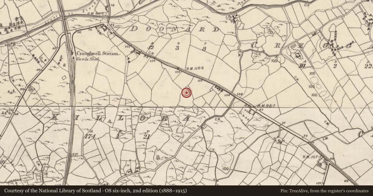 Ordnance Survey six-inch map, 2nd edition (1888–1915) covering the location of Ringfort - rath, Killora, County Galway, with a pin at the register's coordinates