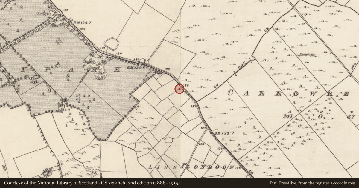 Ordnance Survey six-inch map, 2nd edition (1888–1915) covering the location of Megalithic tomb - wedge tomb, Lissalondoon, County Galway, with a pin at the register's coordinates
