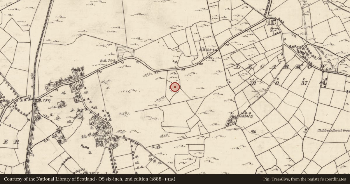 Ordnance Survey six-inch map, 2nd edition (1888–1915) covering the location of Ringfort - rath, Moneyteige, County Galway, with a pin at the register's coordinates