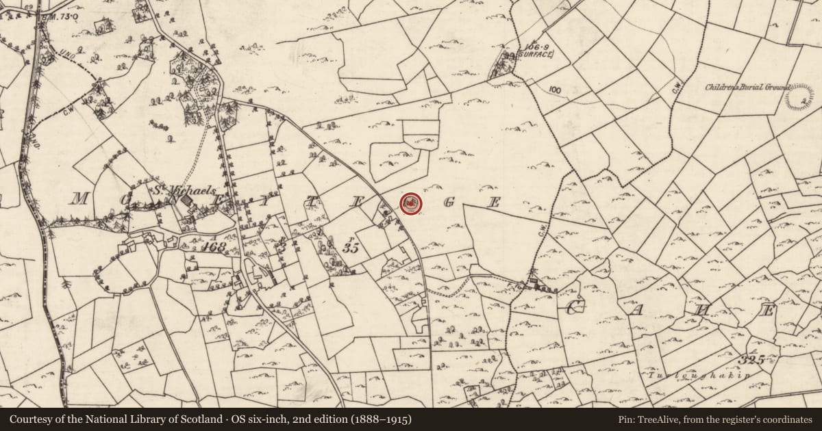 Ordnance Survey six-inch map, 2nd edition (1888–1915) covering the location of Ringfort - cashel, Moneyteige, County Galway, with a pin at the register's coordinates