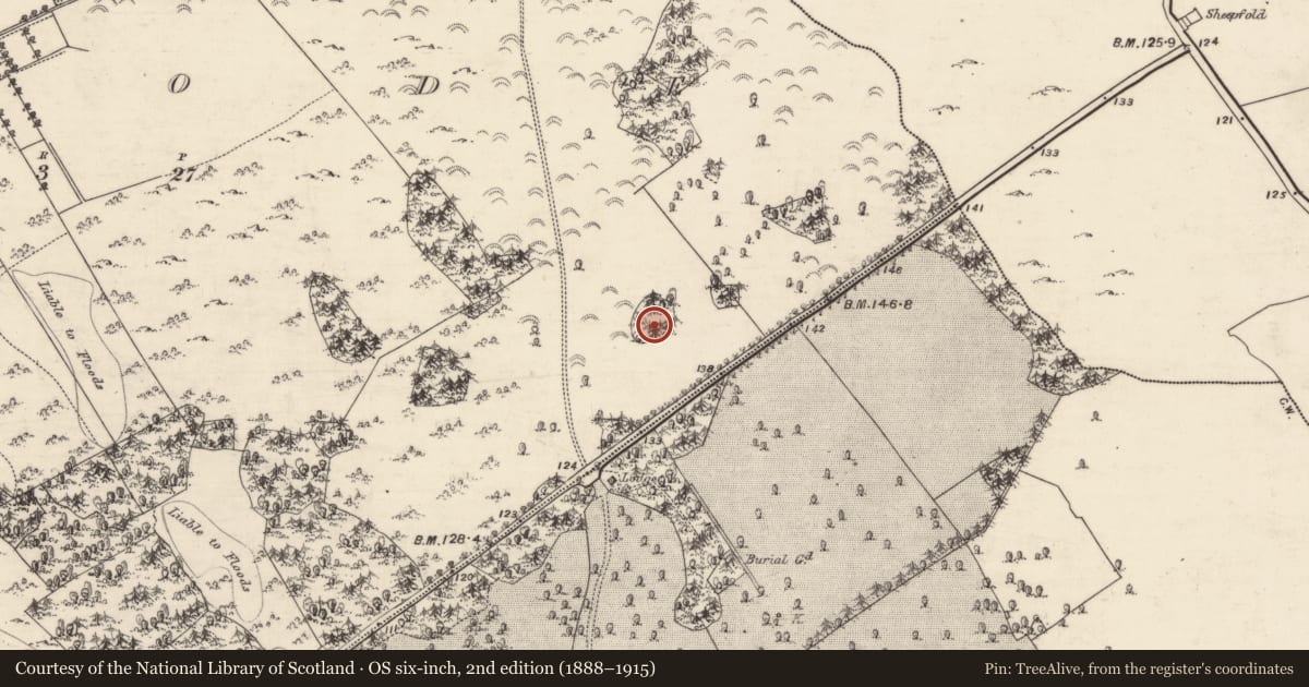 Ordnance Survey six-inch map, 2nd edition (1888–1915) covering the location of Designed landscape - tree-ring, Moyode, County Galway, with a pin at the register's coordinates