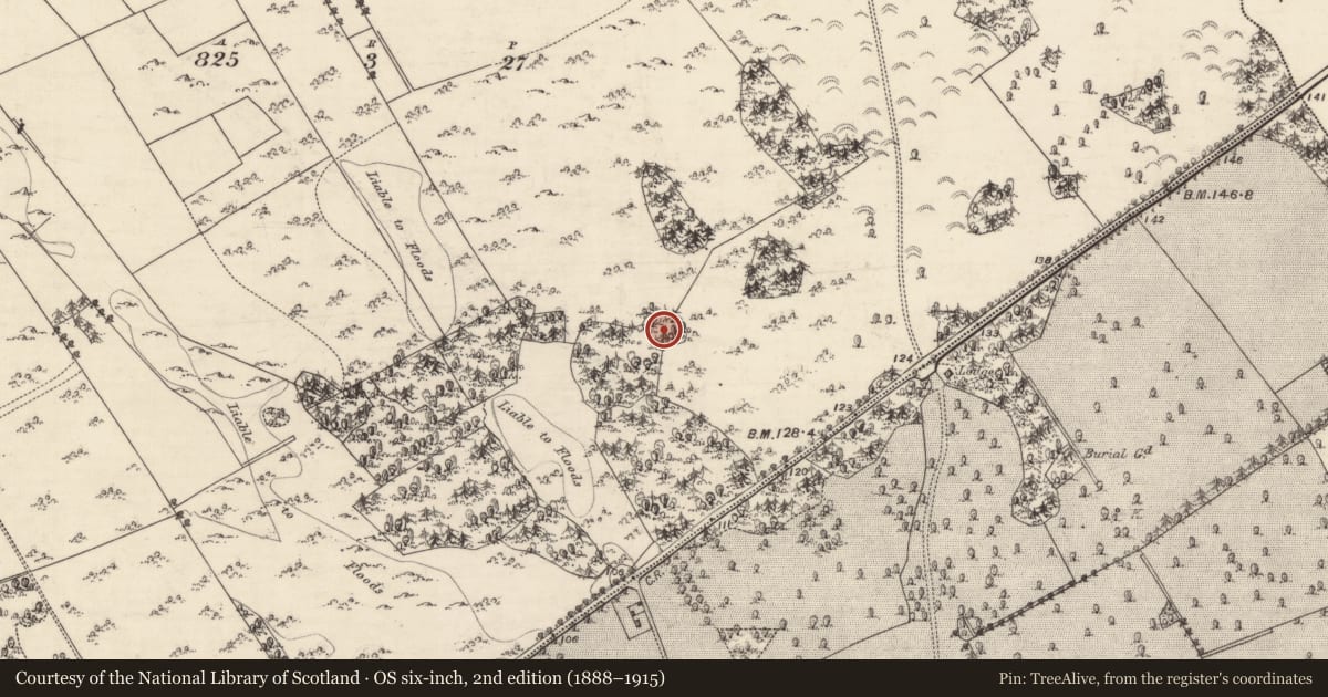 Ordnance Survey six-inch map, 2nd edition (1888–1915) covering the location of Designed landscape feature, Moyode, County Galway, with a pin at the register's coordinates