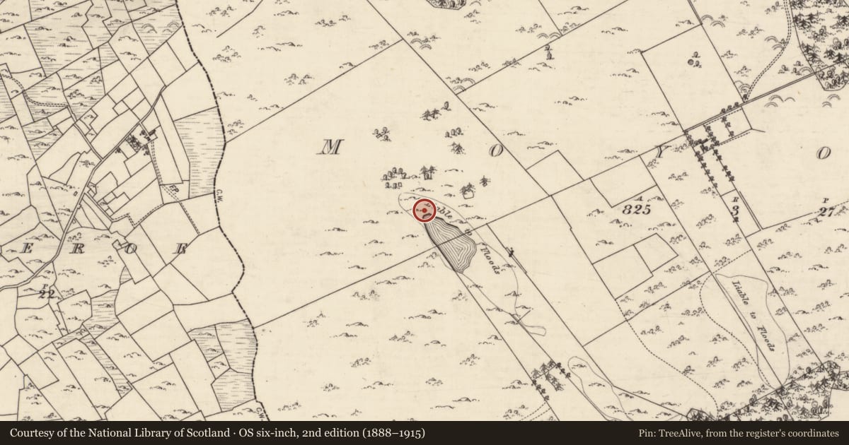 Ordnance Survey six-inch map, 2nd edition (1888–1915) covering the location of Fulacht fia, Moyode, County Galway, with a pin at the register's coordinates