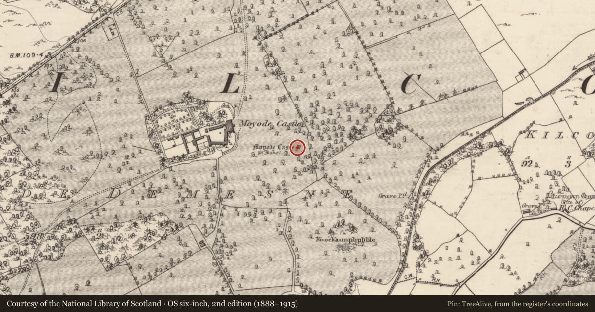 Ordnance Survey six-inch map, 2nd edition (1888–1915) covering the location of Castle - tower house, Moyode Demesne, County Galway, with a pin at the register's coordinates