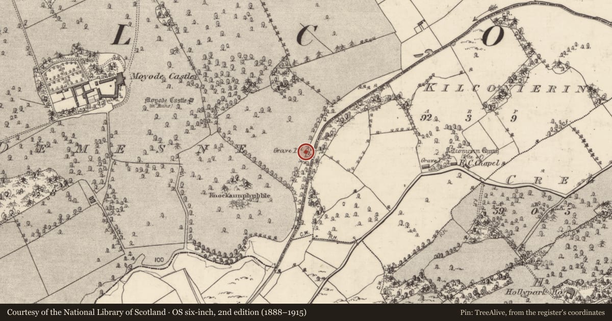 Ordnance Survey six-inch map, 2nd edition (1888–1915) covering the location of Children's burial ground, Moyode Demesne, County Galway, with a pin at the register's coordinates