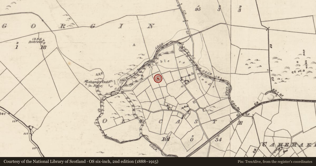 Ordnance Survey six-inch map, 2nd edition (1888–1915) covering the location of Castle - motte and bailey, Oldcastle, County Galway, with a pin at the register's coordinates