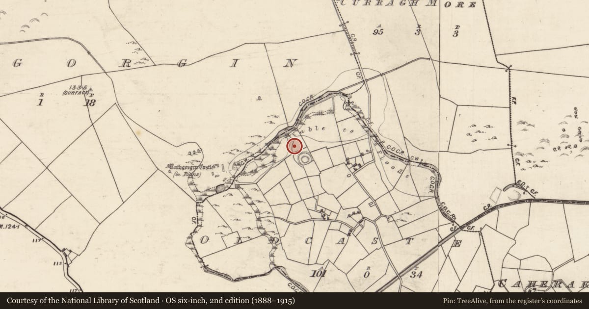 Ordnance Survey six-inch map, 2nd edition (1888–1915) covering the location of Building, Oldcastle, County Galway, with a pin at the register's coordinates
