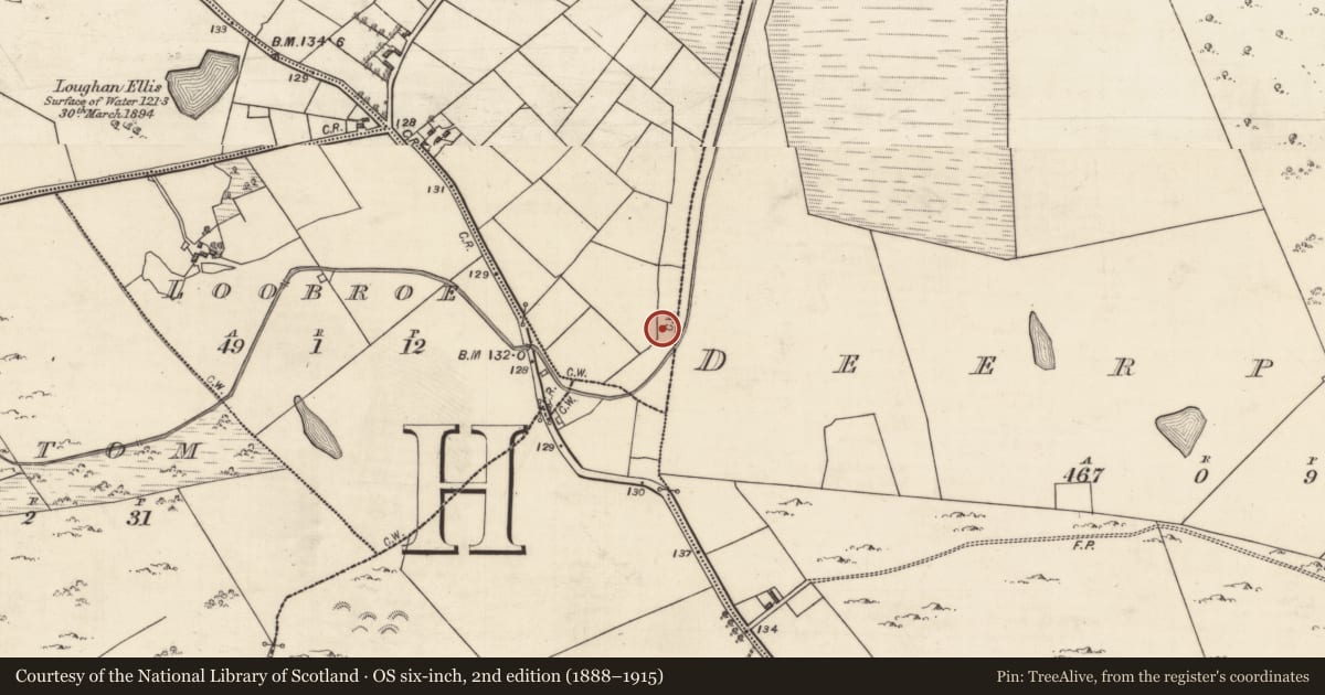Ordnance Survey six-inch map, 2nd edition (1888–1915) covering the location of Fulacht fia, Rahard, County Galway, with a pin at the register's coordinates