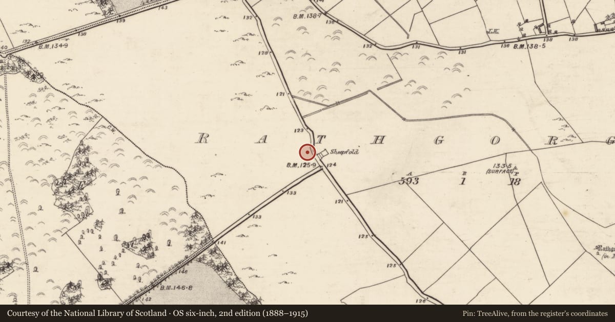 Ordnance Survey six-inch map, 2nd edition (1888–1915) covering the location of Quarry, Rathgorgin, County Galway, with a pin at the register's coordinates