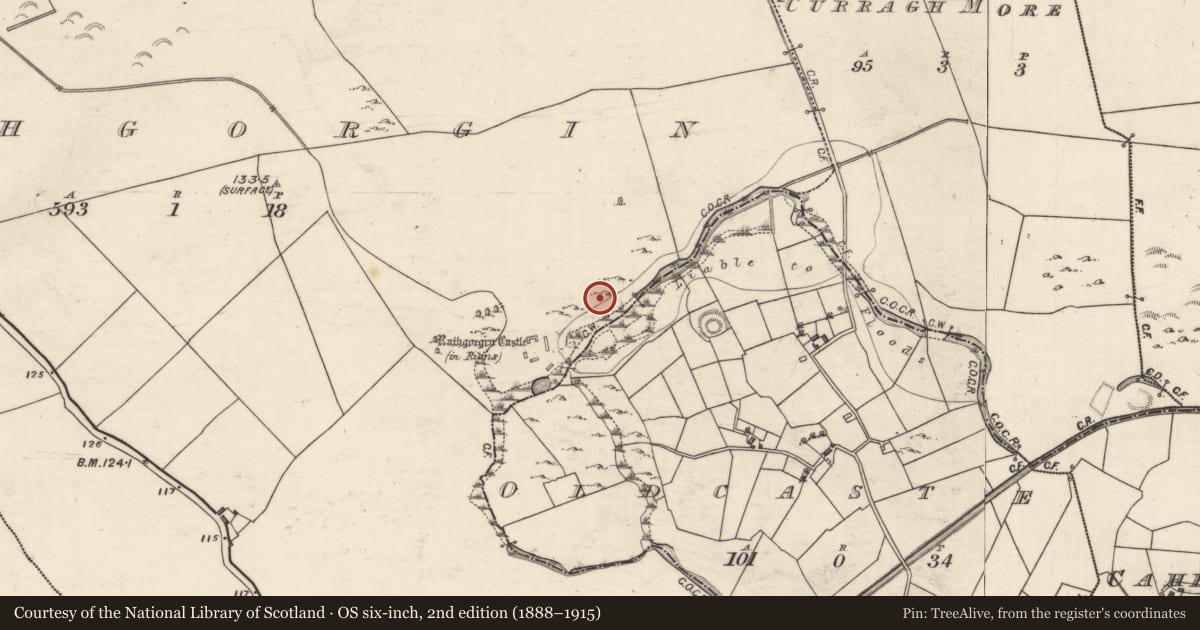 Ordnance Survey six-inch map, 2nd edition (1888–1915) covering the location of Architectural fragment, Rathgorgin, County Galway, with a pin at the register's coordinates