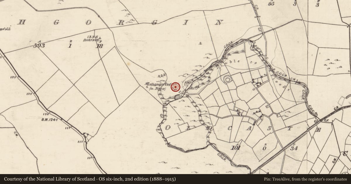 Ordnance Survey six-inch map, 2nd edition (1888–1915) covering the location of Bawn, Rathgorgin, County Galway, with a pin at the register's coordinates