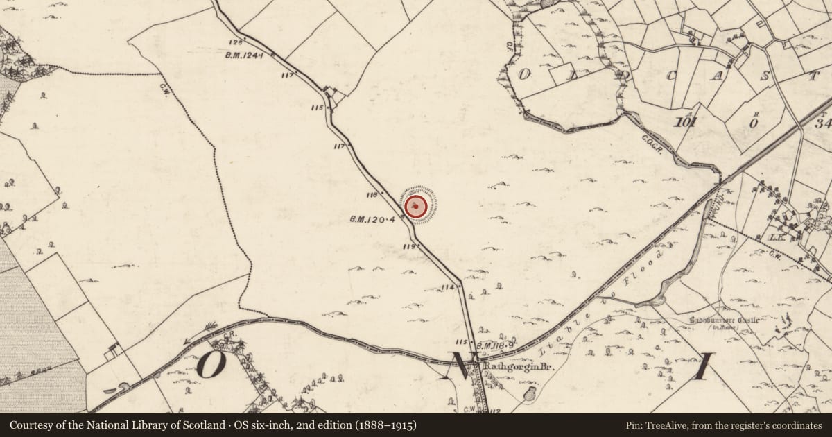 Ordnance Survey six-inch map, 2nd edition (1888–1915) covering the location of Ringfort - rath, Rathgorgin, County Galway, with a pin at the register's coordinates