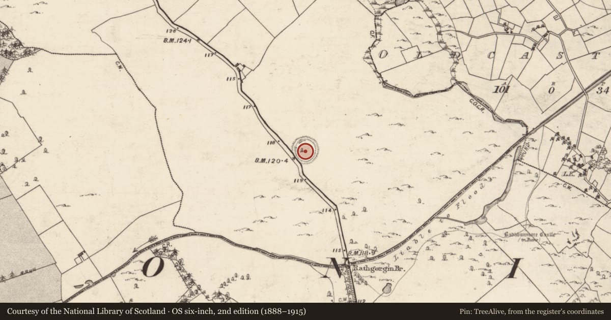 Ordnance Survey six-inch map, 2nd edition (1888–1915) covering the location of Souterrain, Rathgorgin, County Galway, with a pin at the register's coordinates
