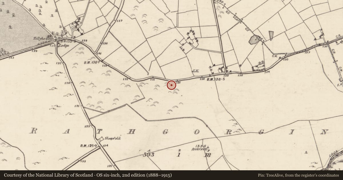 Ordnance Survey six-inch map, 2nd edition (1888–1915) covering the location of Enclosure, Rathgorgin, County Galway, with a pin at the register's coordinates