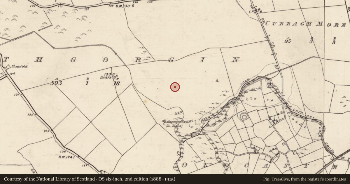 Ordnance Survey six-inch map, 2nd edition (1888–1915) covering the location of Field system, Rathgorgin, County Galway, with a pin at the register's coordinates