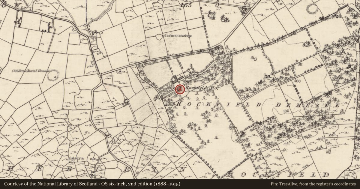 Ordnance Survey six-inch map, 2nd edition (1888–1915) covering the location of Country house, Rockfield, County Galway, with a pin at the register's coordinates