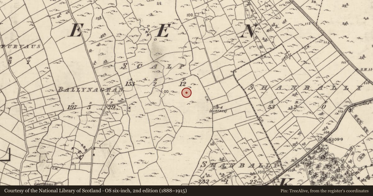 Ordnance Survey six-inch map, 2nd edition (1888–1915) covering the location of Field system, Scalp, County Galway, with a pin at the register's coordinates