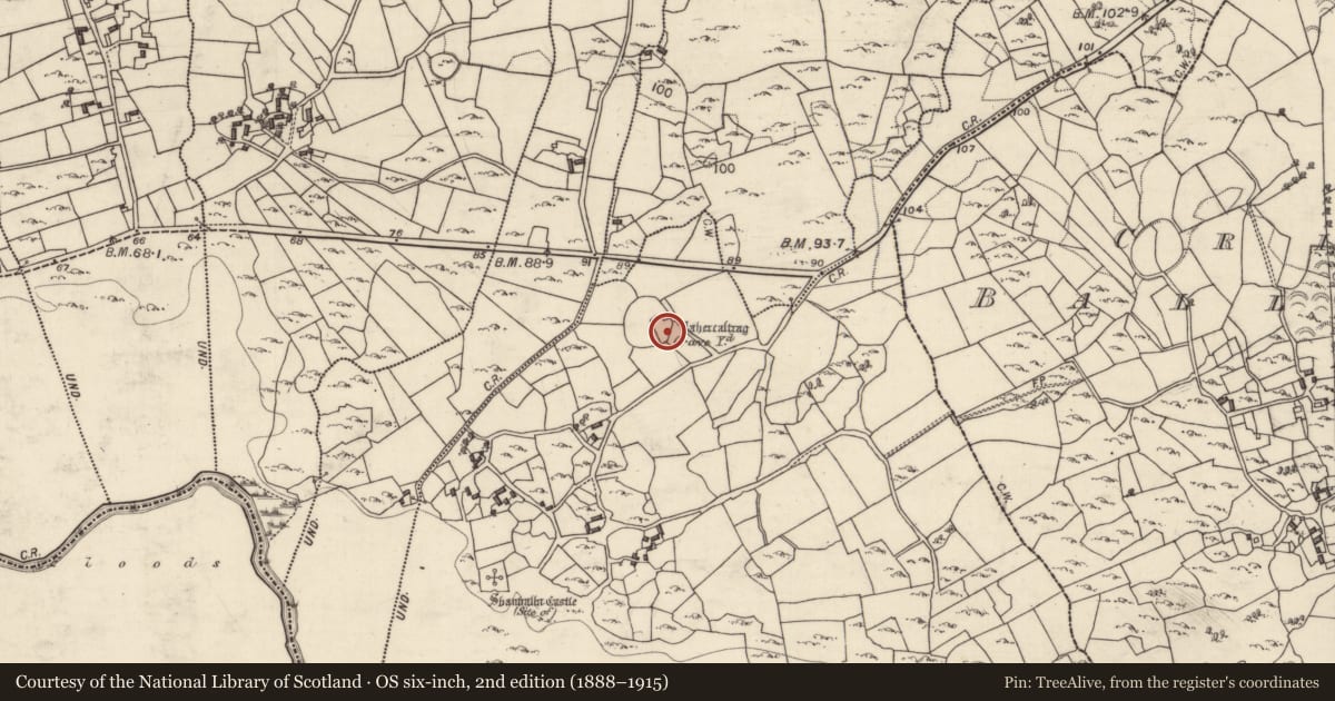 Ordnance Survey six-inch map, 2nd edition (1888–1915) covering the location of Children's burial ground, Shanbally, County Galway, with a pin at the register's coordinates