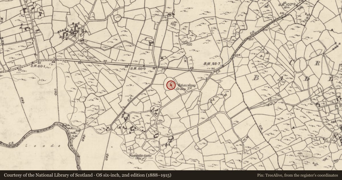 Ordnance Survey six-inch map, 2nd edition (1888–1915) covering the location of Ecclesiastical enclosure, Shanbally, County Galway, with a pin at the register's coordinates