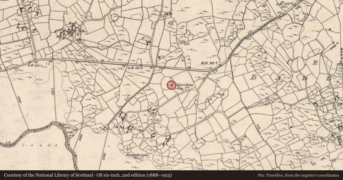 Ordnance Survey six-inch map, 2nd edition (1888–1915) covering the location of Cross, Shanbally, County Galway, with a pin at the register's coordinates