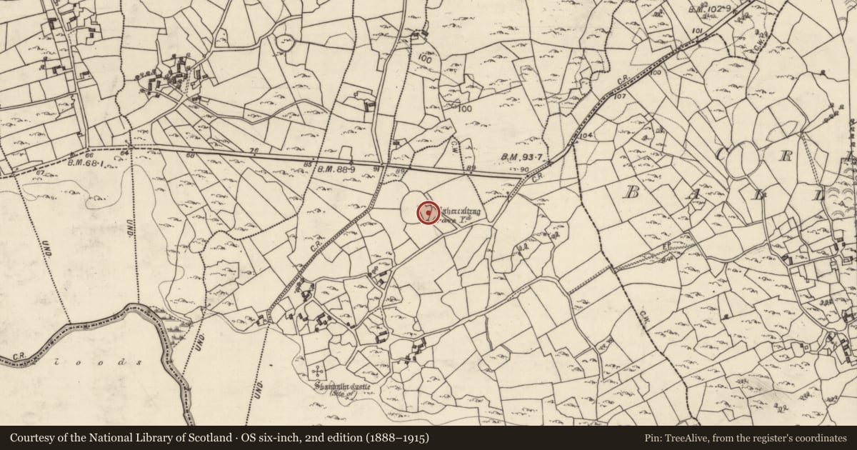 Ordnance Survey six-inch map, 2nd edition (1888–1915) covering the location of Church, Shanbally, County Galway, with a pin at the register's coordinates