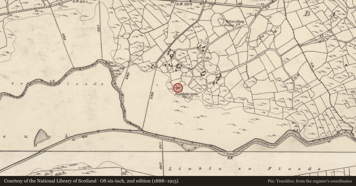 Ordnance Survey six-inch map, 2nd edition (1888–1915) covering the location of Castle - unclassified, Shanbally, County Galway, with a pin at the register's coordinates