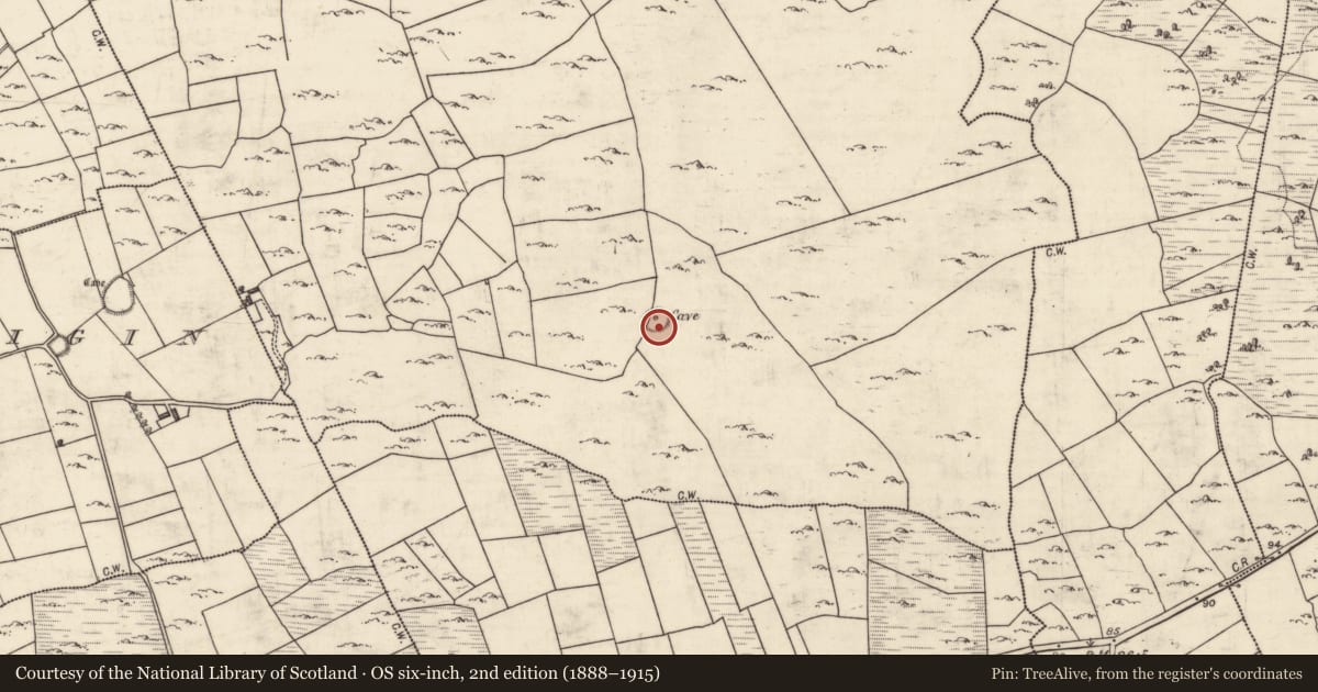 Ordnance Survey six-inch map, 2nd edition (1888–1915) covering the location of Souterrain, Tallowroe, County Galway, with a pin at the register's coordinates
