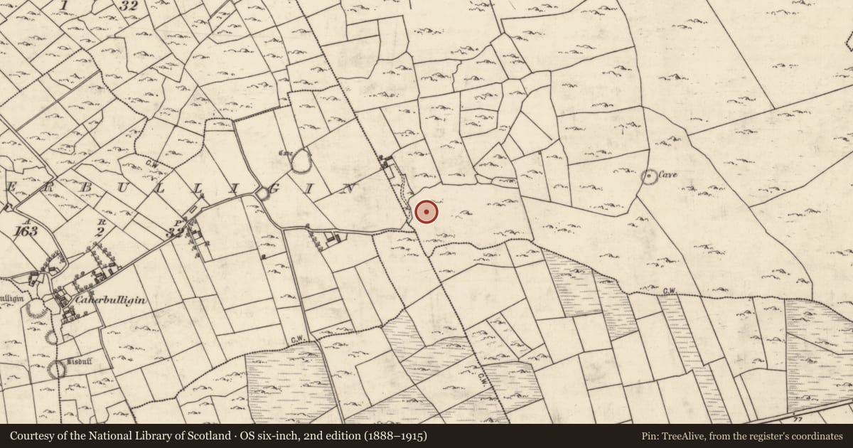 Ordnance Survey six-inch map, 2nd edition (1888–1915) covering the location of Megalithic structure, Tallowroe, County Galway, with a pin at the register's coordinates