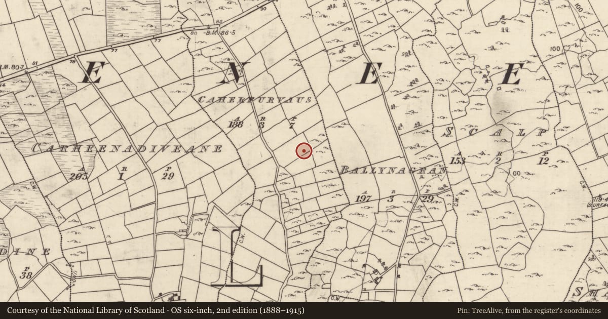 Ordnance Survey six-inch map, 2nd edition (1888–1915) covering the location of Megalithic tomb - wedge tomb, Caherfurvaus, County Galway, with a pin at the register's coordinates