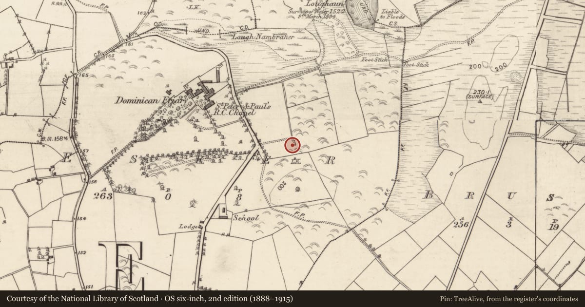 Ordnance Survey six-inch map, 2nd edition (1888–1915) covering the location of Ritual site - holy well, Esker, County Galway, with a pin at the register's coordinates