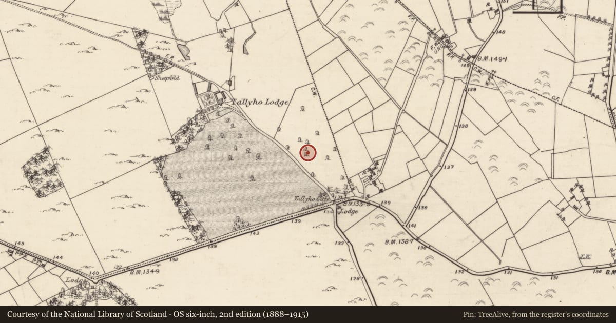 Ordnance Survey six-inch map, 2nd edition (1888–1915) covering the location of Earthwork, Deerpark, County Galway, with a pin at the register's coordinates