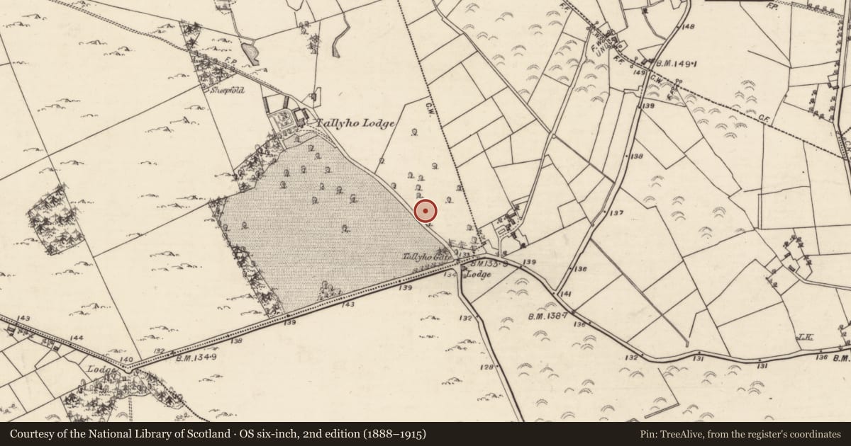 Ordnance Survey six-inch map, 2nd edition (1888–1915) covering the location of Souterrain, Deerpark, County Galway, with a pin at the register's coordinates