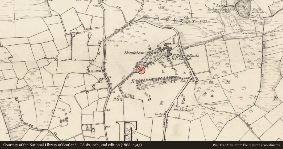 Ordnance Survey six-inch map, 2nd edition (1888–1915) covering the location of Architectural fragment, Esker, County Galway, with a pin at the register's coordinates