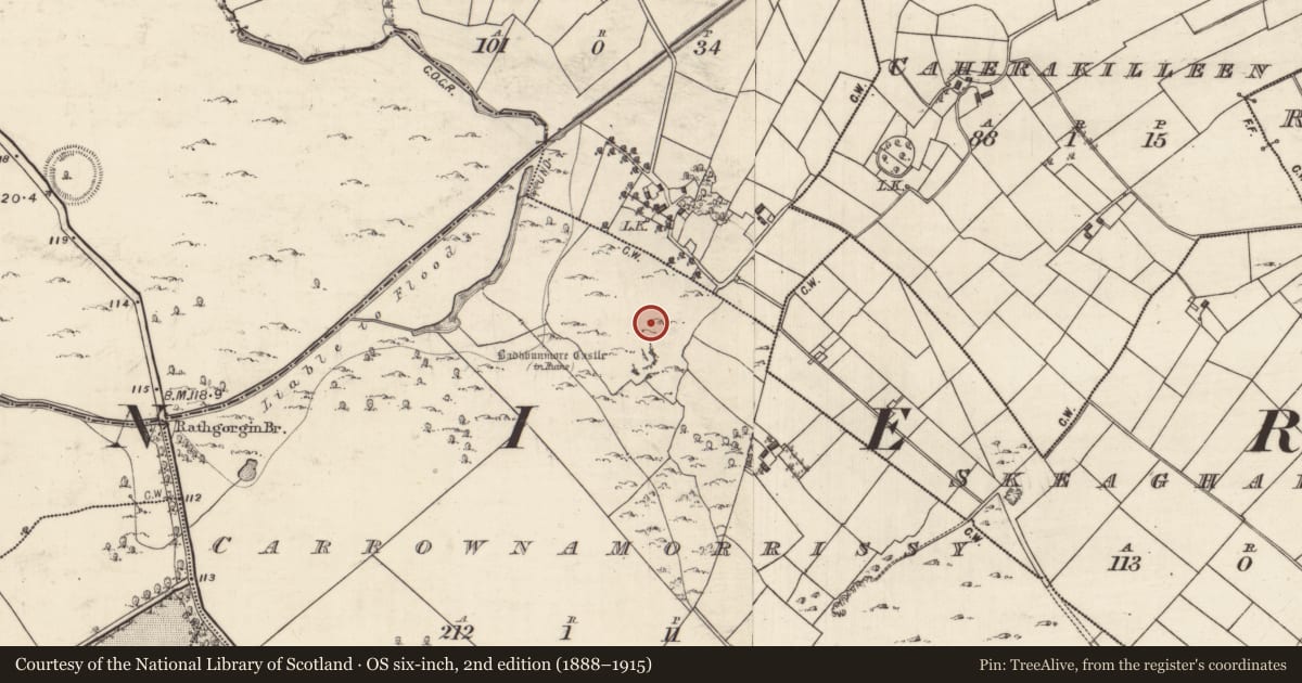Ordnance Survey six-inch map, 2nd edition (1888–1915) covering the location of Field system, Carrownamorrissy, County Galway, with a pin at the register's coordinates