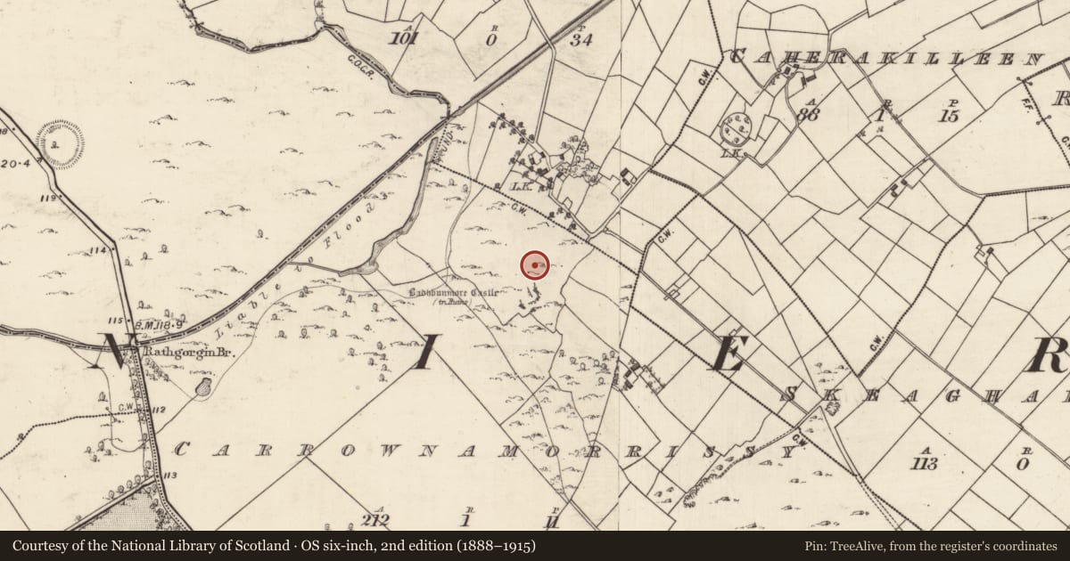 Ordnance Survey six-inch map, 2nd edition (1888–1915) covering the location of House - indeterminate date, Carrownamorrissy, County Galway, with a pin at the register's coordinates