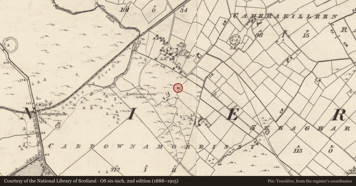 Ordnance Survey six-inch map, 2nd edition (1888–1915) covering the location of Enclosure, Carrownamorrissy, County Galway, with a pin at the register's coordinates