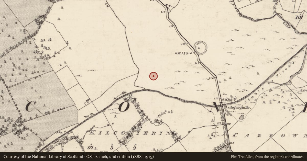 Ordnance Survey six-inch map, 2nd edition (1888–1915) covering the location of Enclosure, Rathgorgin, County Galway, with a pin at the register's coordinates