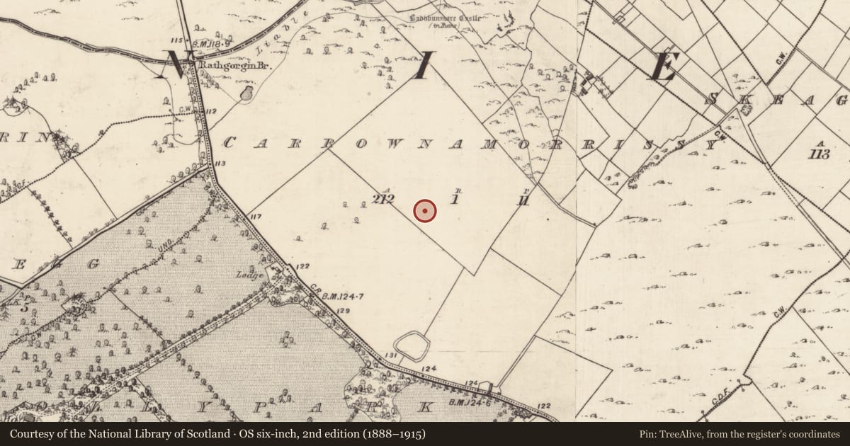 Ordnance Survey six-inch map, 2nd edition (1888–1915) covering the location of Enclosure, Carrownamorrissy, County Galway, with a pin at the register's coordinates